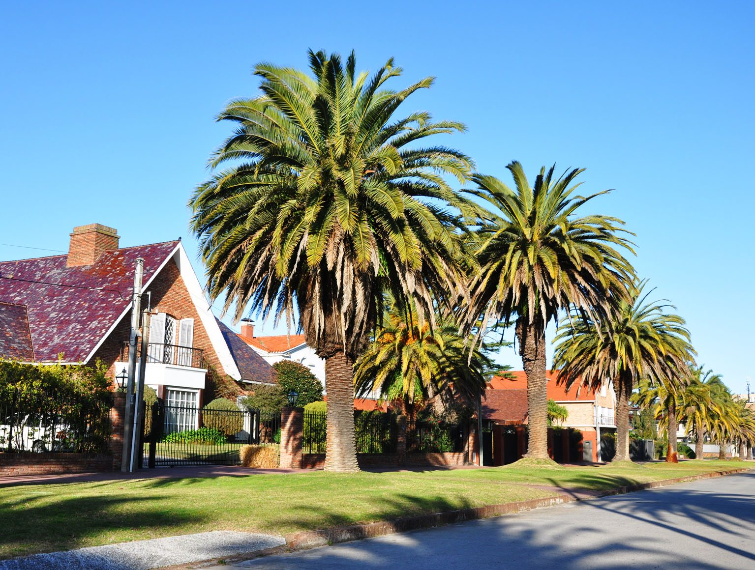 Casas, apartamentos y chacras en Uruguay